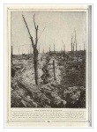 panorama12.jpg