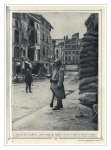 panorama14.jpg