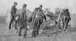 armes8.jpg
