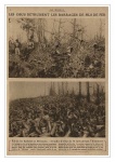 miroir34.jpg