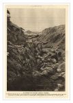 illustration15.jpg